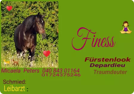  Pferde Finess Bild