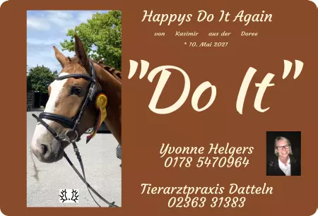 Pferde Happys Do It Again Bild