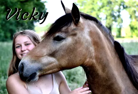 Pferde Vicky Bild